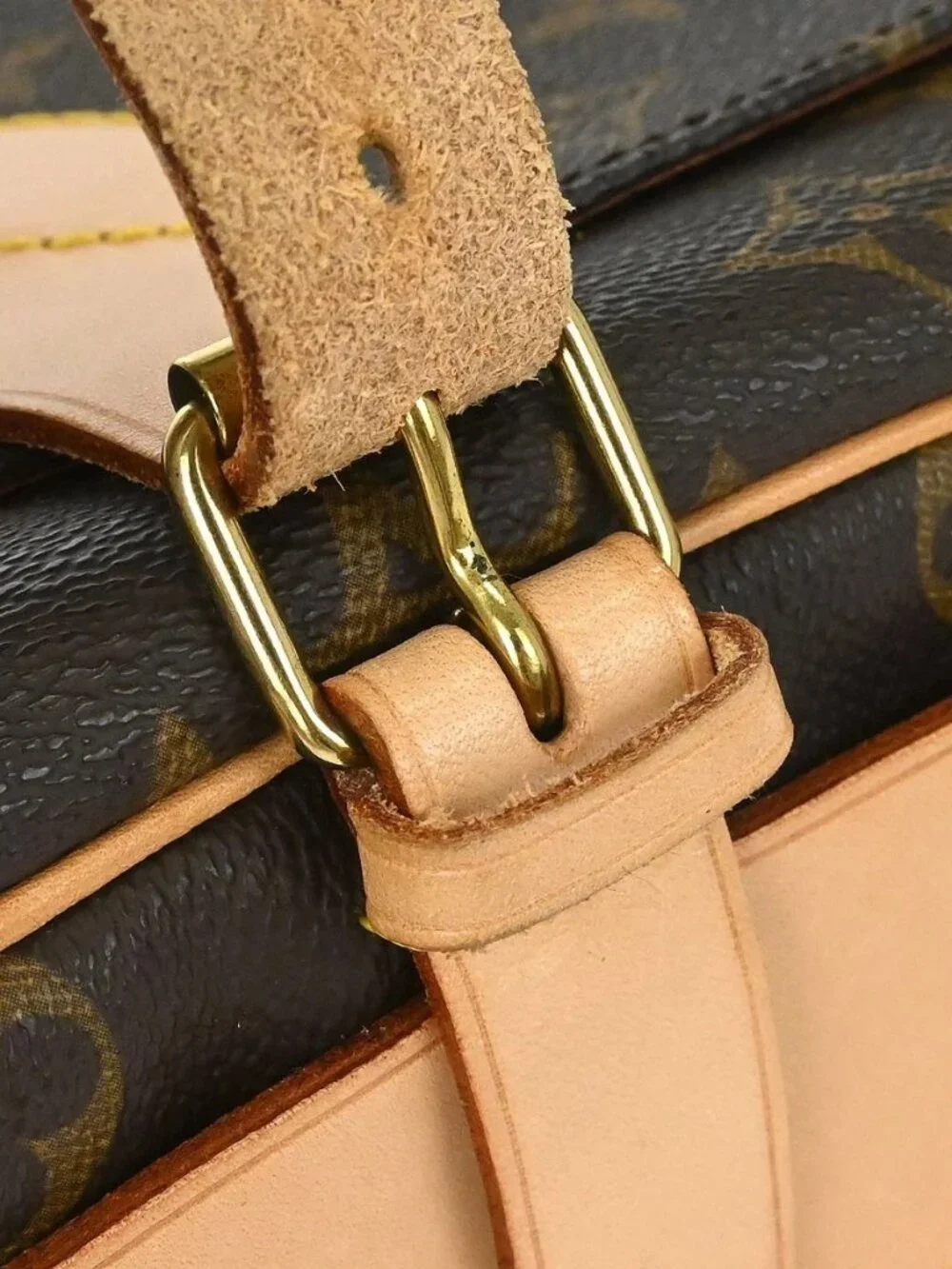 Louis Vuitton Monogram Cartouchiere